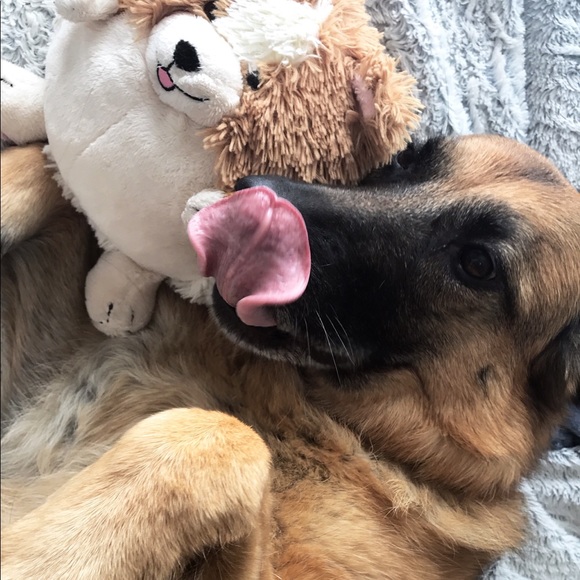 Meet your Posher, Micah - Picture 2 of 2